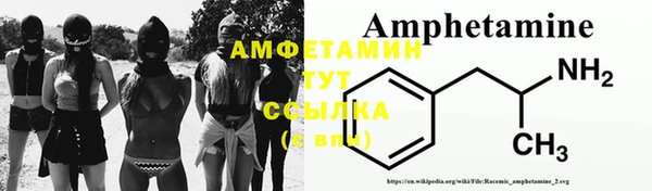 шишки Абинск