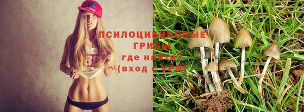 прущая мука Рославль