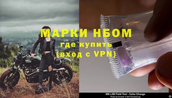 шишки Абинск