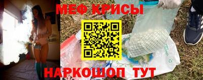 стаф Котовск