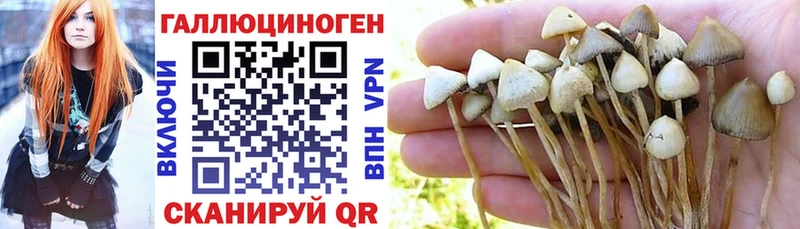 мега маркетплейс  где купить наркоту  Богданович  Псилоцибиновые грибы GOLDEN TEACHER 