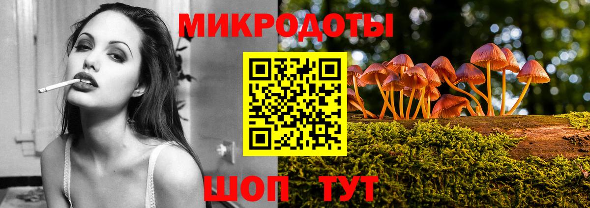 Галлюциногенные грибы Psilocybe Богданович