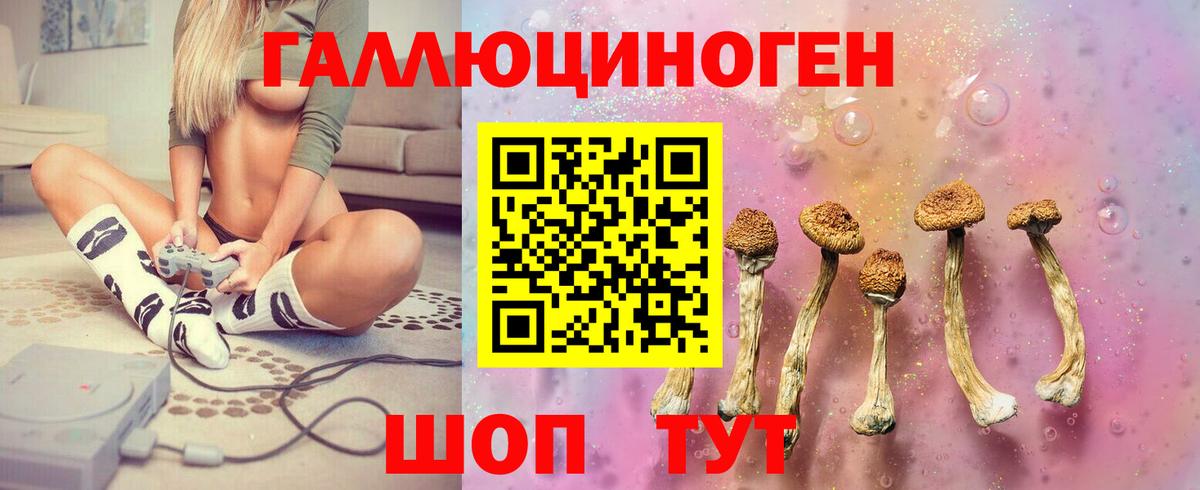 Галлюциногенные грибы GOLDEN TEACHER  Галлюциногенные грибы Magic Shrooms  купить наркотик  Богданович  Вход с VPN 